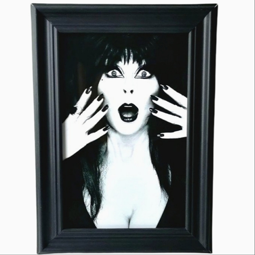 Elvira B & W Horror Queen Cult Classic Gothic Punk Rock 80s 90s Vintage Goth Art